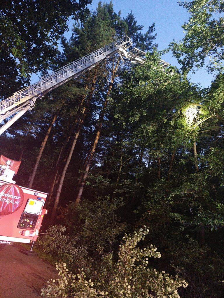 Wóz strażacki z podniesionym wysięngnikiem, w lesie