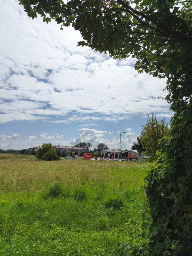 zielone pole, niebieskie niebo z chmurami, w tle zabudowania sklepu