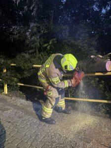 Strażak z piłą spalinową, tnie powalone na drogę drzewo