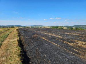 spalone, czarne ściernisko, w tle wzgórza, niebieskie niebo