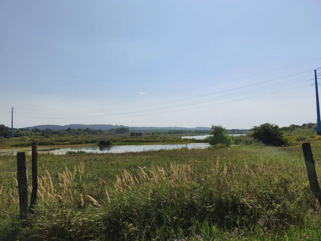 Niebo, tafla wody, sierpniowe łąki