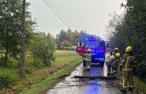 Strażacy na drodze , powalone drzeweo, wóz strażacki z włączonymi niebieskimi światłami