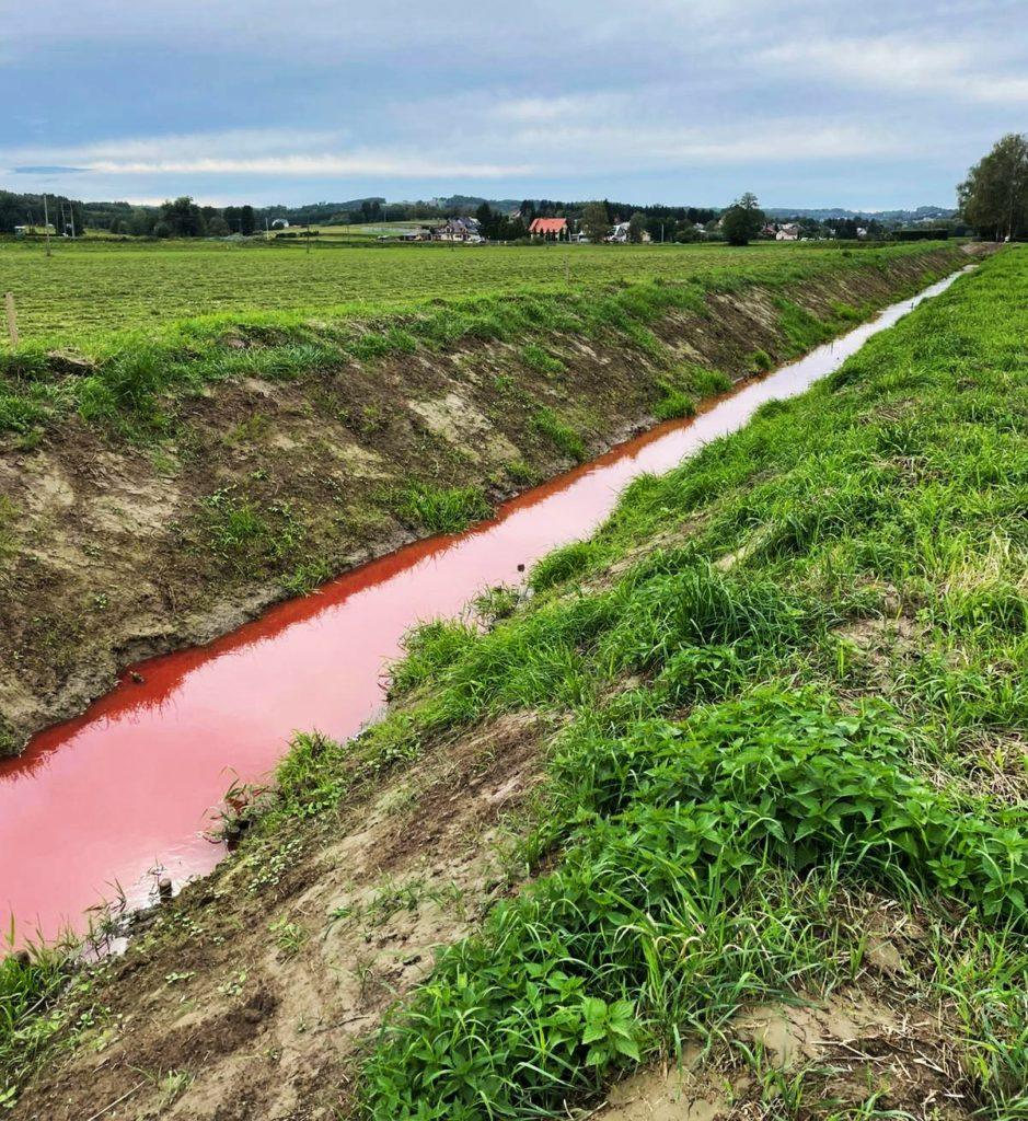 Czerwona woda w rzece, zielone brzegi, błękitne niebo