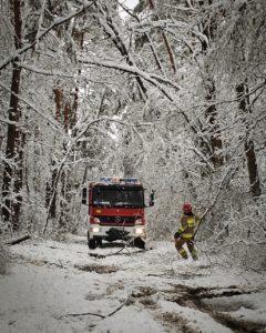 Las, zaśnieżone drzewa, wóz strażacki