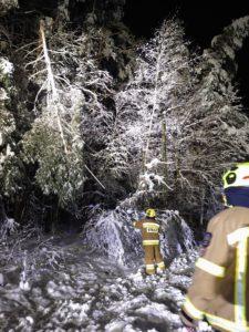 Zima, połamane drzewa, strażacy w mundurach