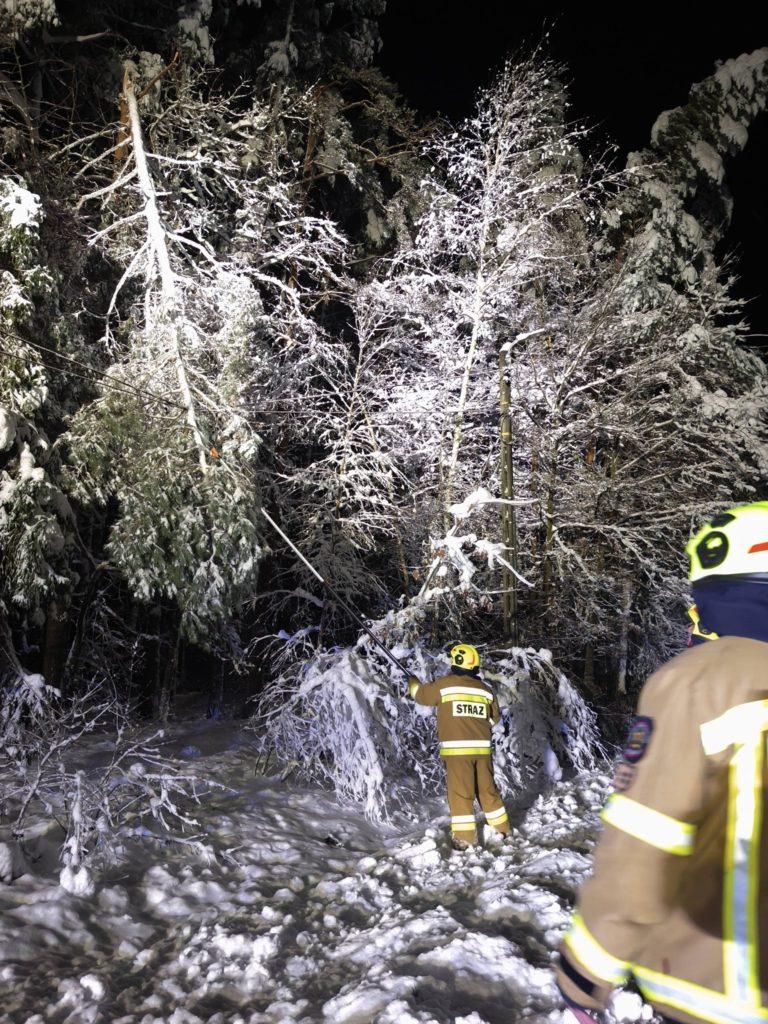 Zima, połamane drzewa, strażacy w mundurach