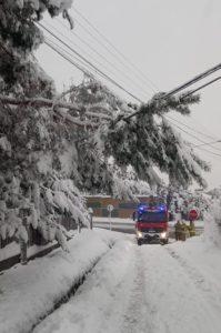 Drzewo przewrócone na linie energetyczne. Wóz strażacki z włączonymi światłami