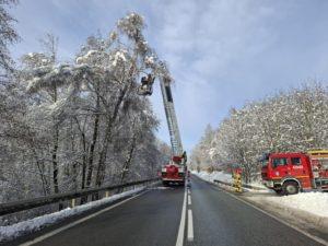 droga, samochód strażacki, drzewa, śnieg