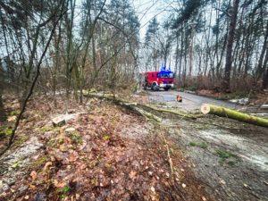 las, powalone drzewo, samochód strażacki