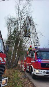 drzewo, wóz strażacki z podnośnikiem