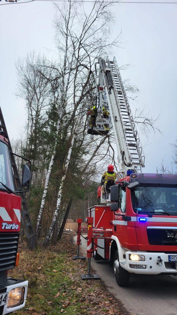 drzewo, wóz strażacki z podnośnikiem