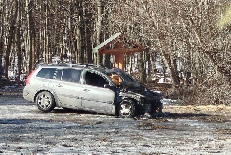 Spalony samochód na śniegu w tle las